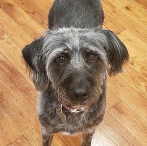 Meet your Posher, Rebecca